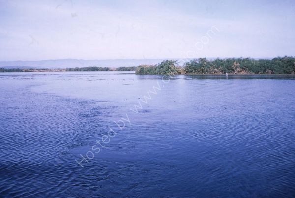Papyrus Reed Islands, Lake Navasha
